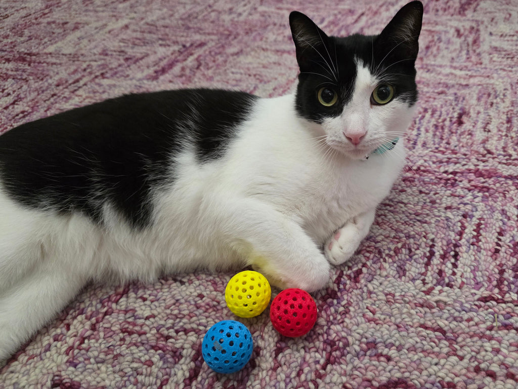 Soft Rubber Cat Ball - Multicolor 6-Pack